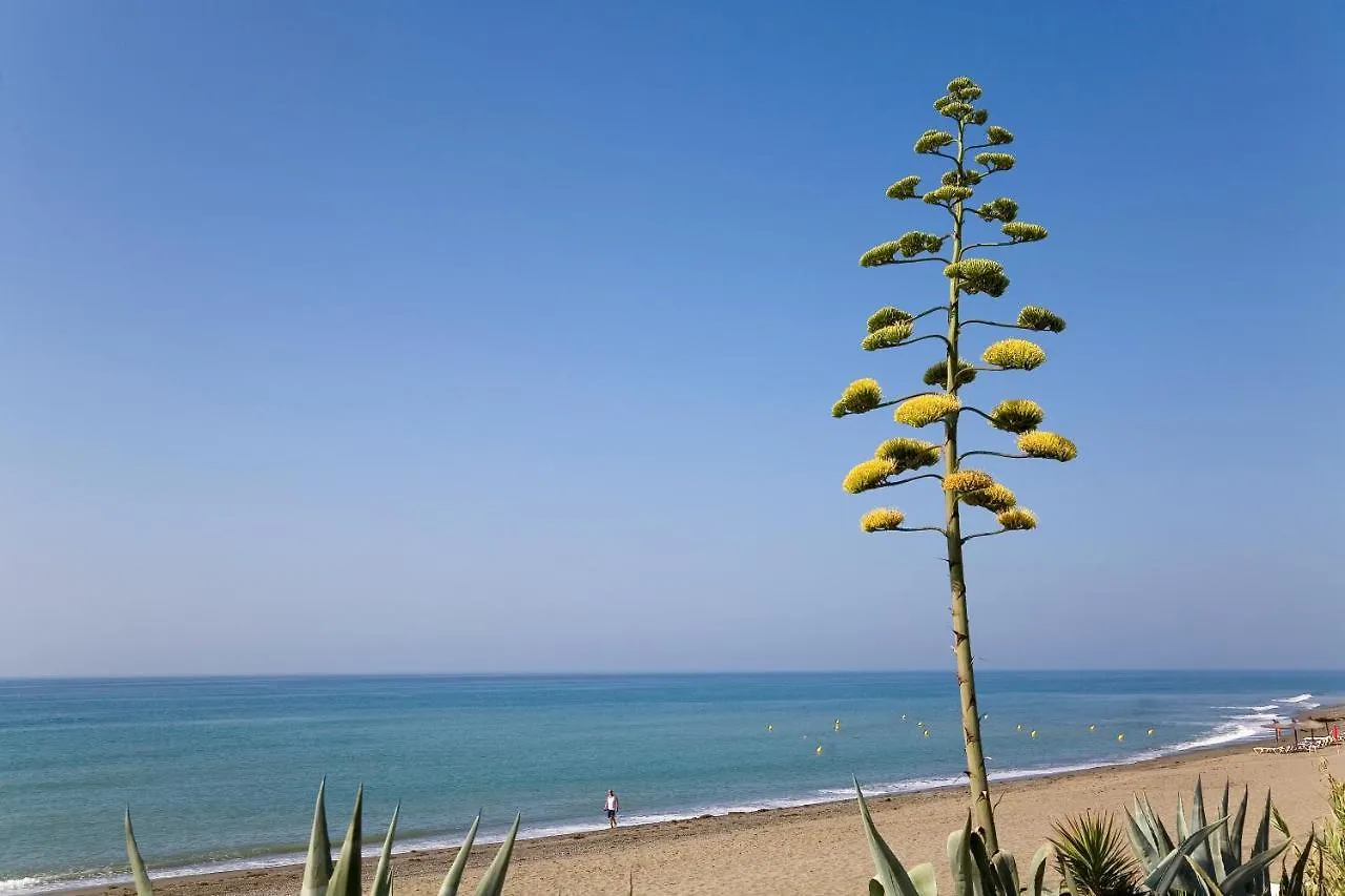Apt 321 Heaven Beach Apartments Guadalmansa Playa Estepona